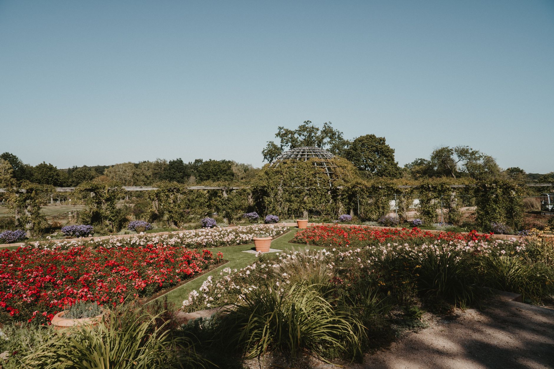 Ironwood Landscaping photo