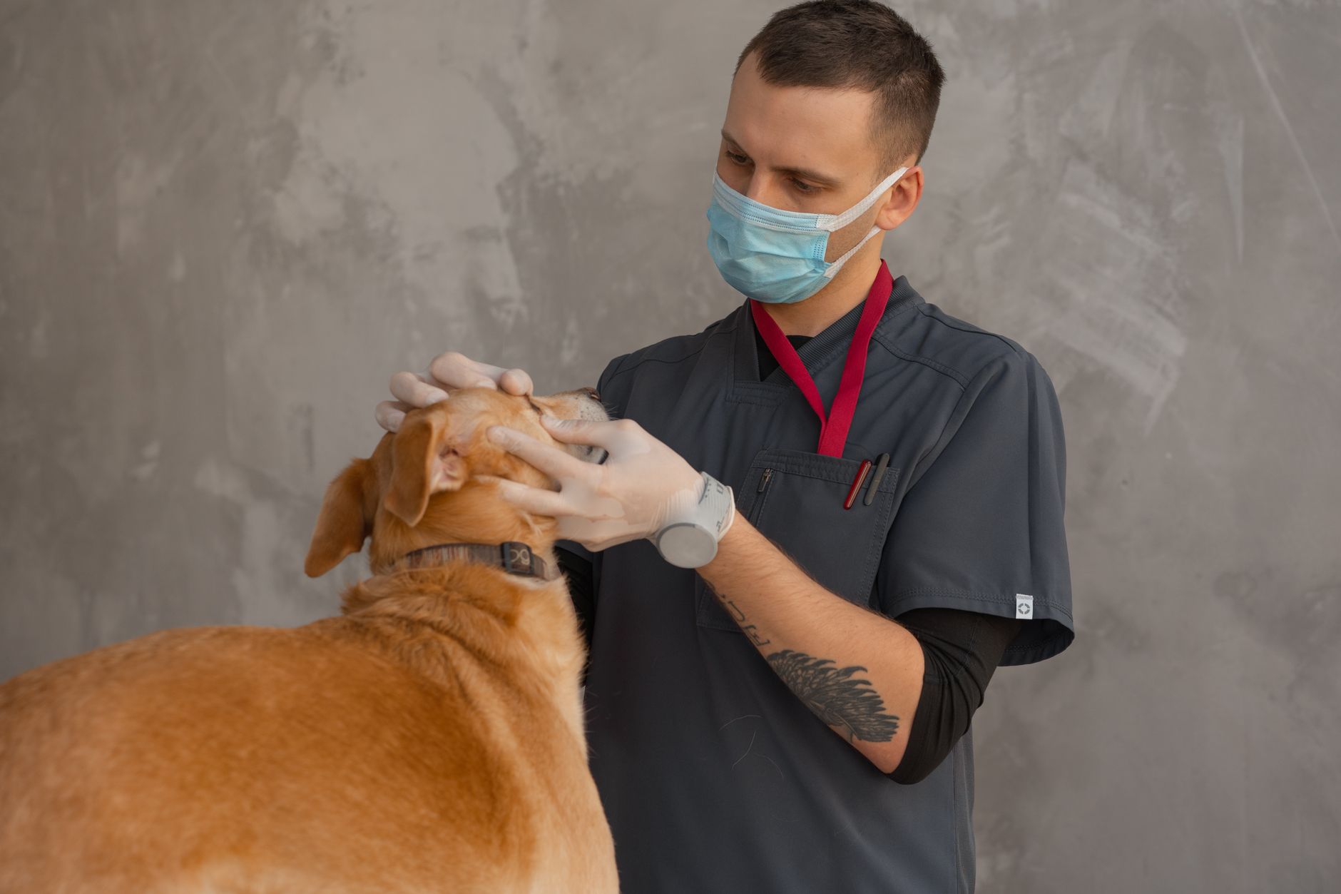 Lakeshore Veterinary Clinic photo