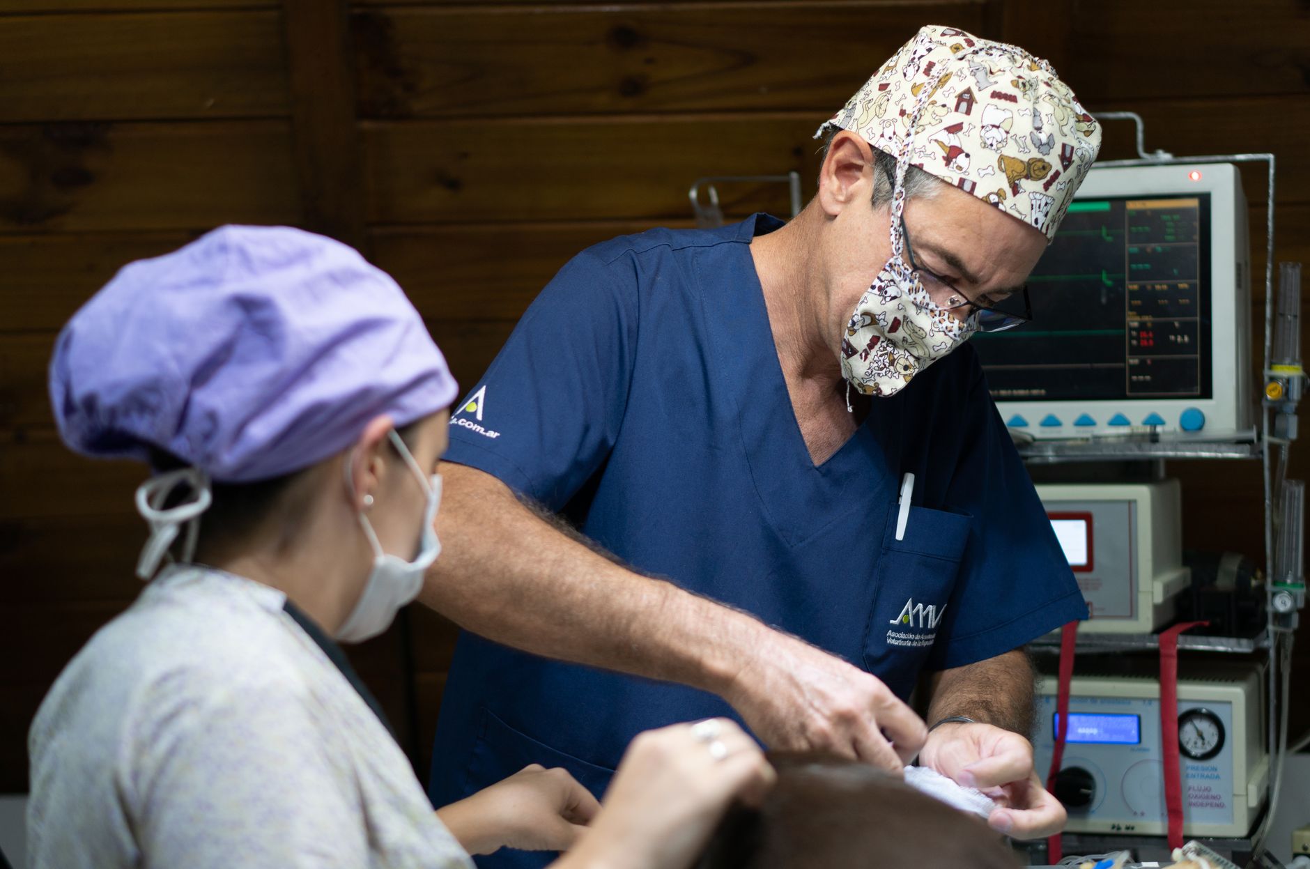 Lakeshore Veterinary Clinic photo