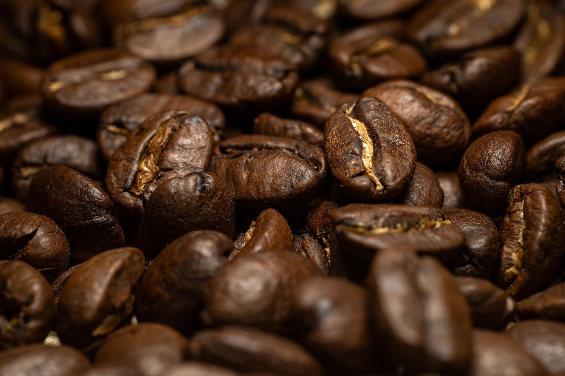 Riverside Roasters Coffee Co. photo